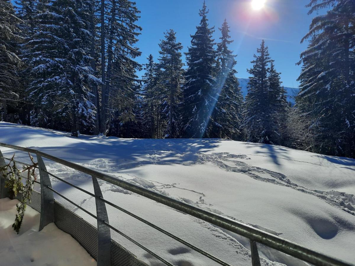 La Petite Foret Chamrousse 1700 Esterno foto
