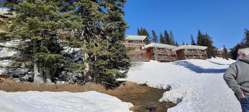 La Petite Foret Chamrousse 1700 Esterno foto