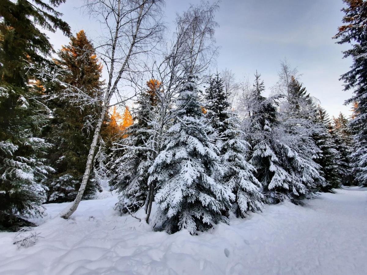 La Petite Foret Chamrousse 1700 Esterno foto
