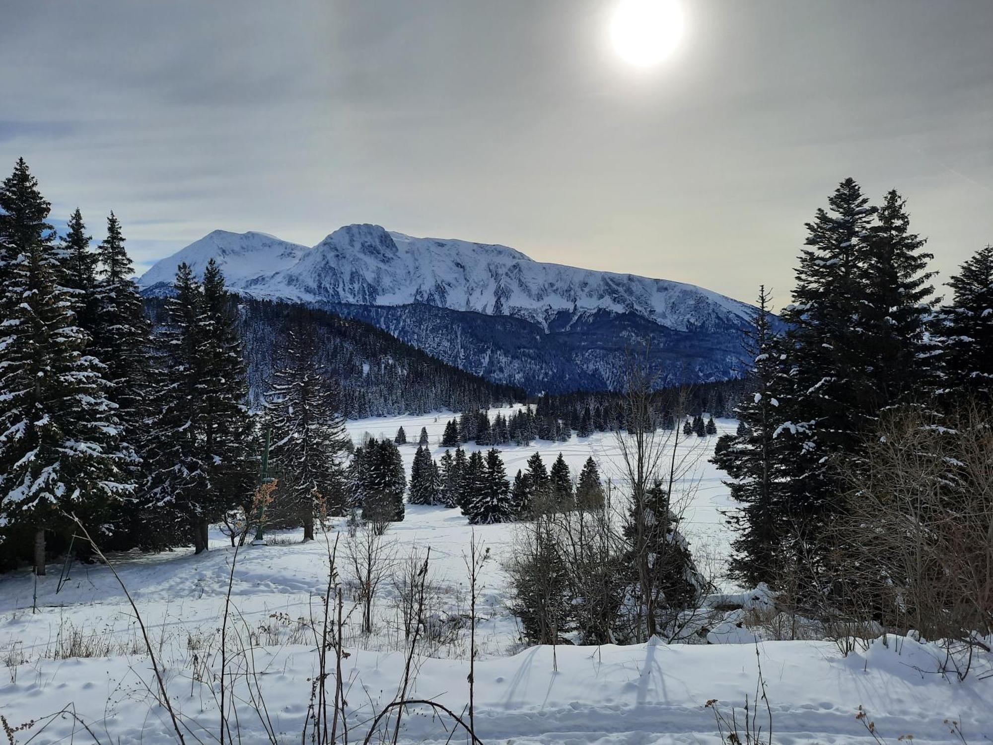 La Petite Foret Chamrousse 1700 Esterno foto