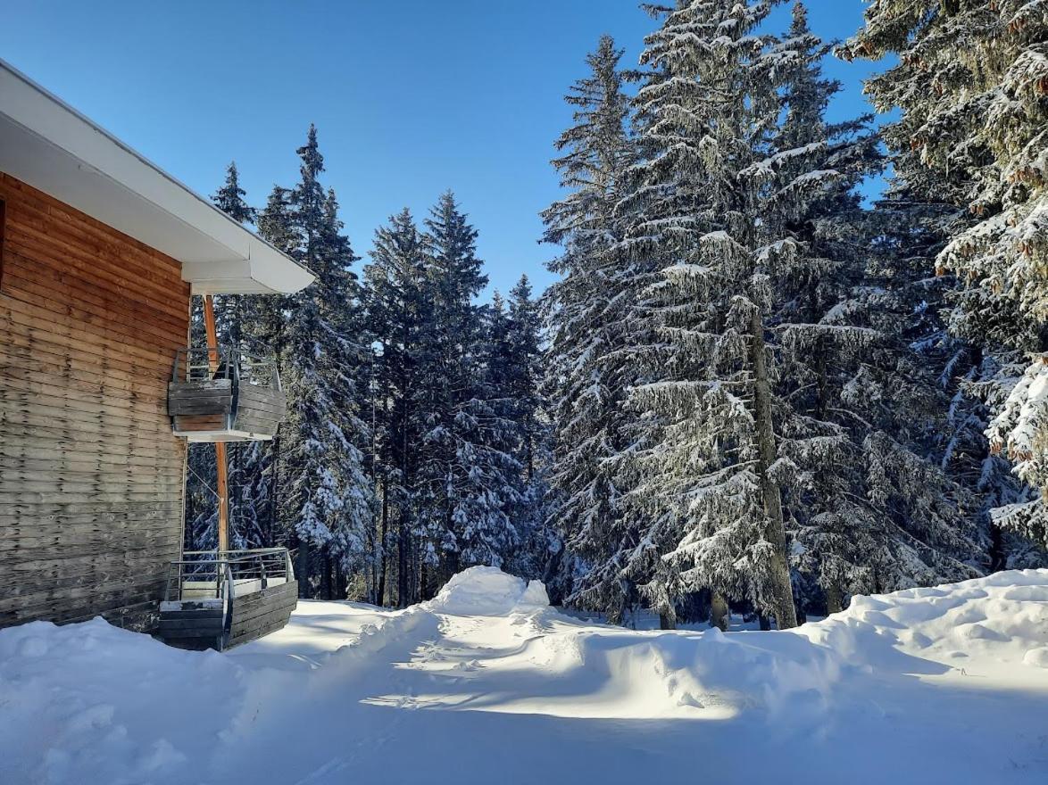 La Petite Foret Chamrousse 1700 Esterno foto
